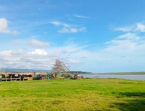 Sabana Pantai Baros Wisata Unik di Bantul dengan Padang Rumput dan Pantai yang Instagramable