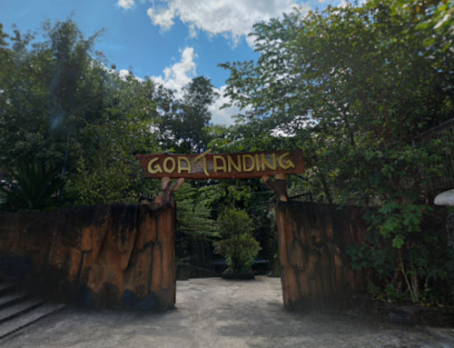 Goa Tanding Gunungkidul Wisata Susur Sungai Bawah Tanah yang Seru dan Berbeda