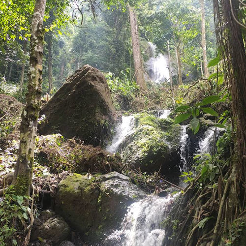 Curug muncar purworejo 2-Paket wisata ternyaman