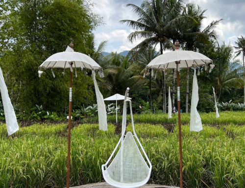 Svargabumi Borobudur Wisata Sawah Kekinian Dekat Borobudur yang Cocok Buat Santai & Foto-Foto