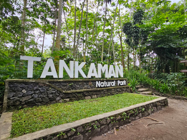 Tankaman kaliurang jogja