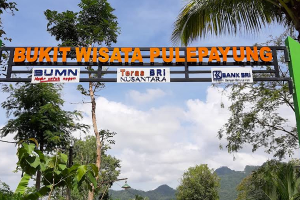 pule payung-Paket wisata ternyaman