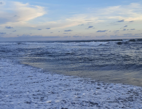 Wisata Pantai Trisik Kulonprogo Alternatif Pantai Jogja yang Tidak Terlalu Ramai
