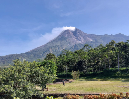 Teras Merapi Jogja: Review Lengkap, Harga Tiket, Lokasi, Rute, dan Aktivitas di Lereng Merapi